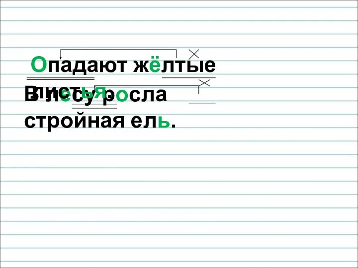 В лесу росла стройная ель. Опадают жёлтые листья.