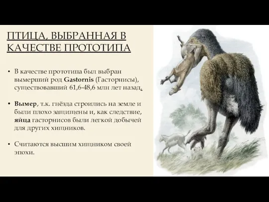 ПТИЦА, ВЫБРАННАЯ В КАЧЕСТВЕ ПРОТОТИПА В качестве прототипа был выбран вымерший род