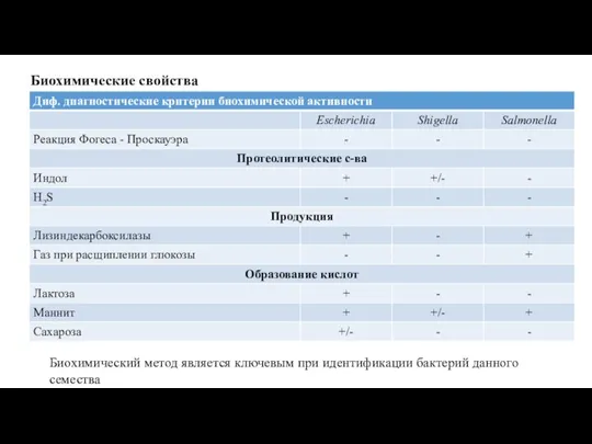 Биохимические свойства Биохимический метод является ключевым при идентификации бактерий данного семества