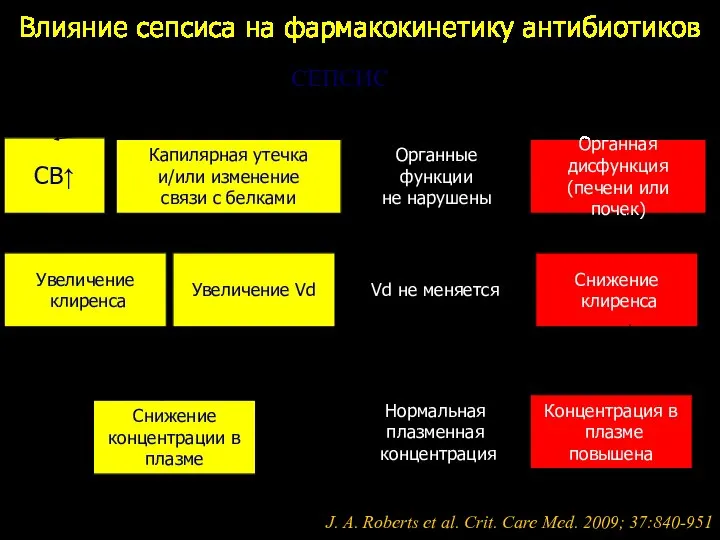 СЕПСИС СВ↑ Капилярная утечка и/или изменение связи с белками Органные функции не