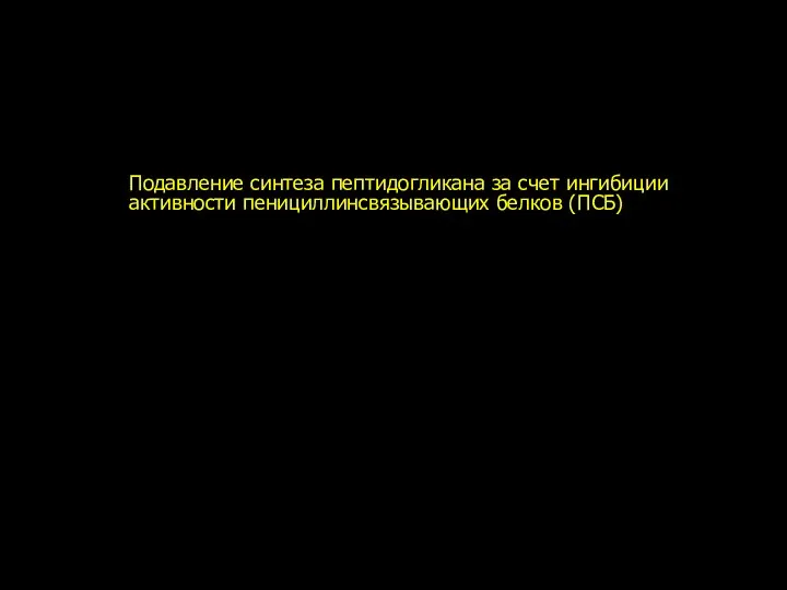 Механизм действия Подавление синтеза пептидогликана за счет ингибиции активности пенициллинсвязывающих белков (ПСБ)