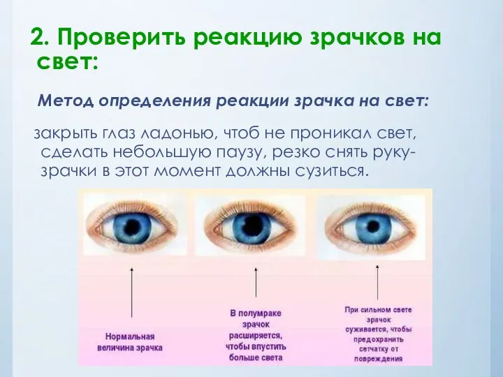 2. Проверить реакцию зрачков на свет: Метод определения реакции зрачка на свет: