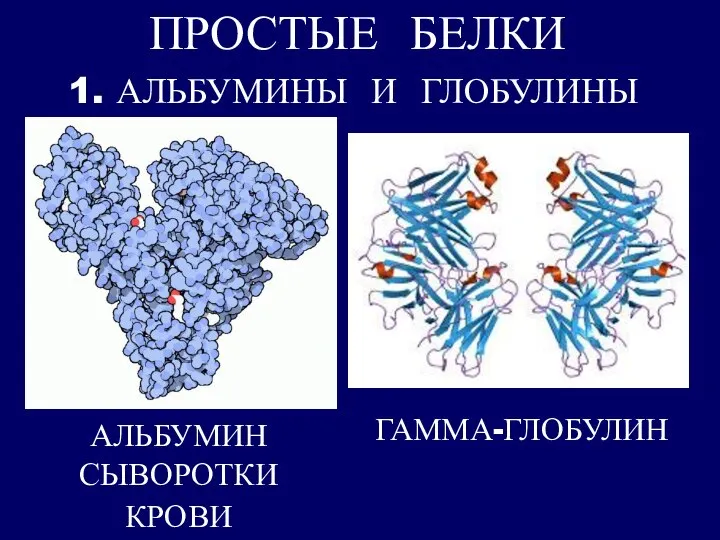 ПРОСТЫЕ БЕЛКИ 1. АЛЬБУМИНЫ И ГЛОБУЛИНЫ АЛЬБУМИН СЫВОРОТКИ КРОВИ ГАММА-ГЛОБУЛИН