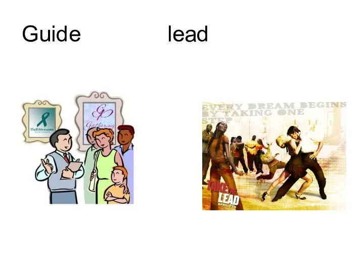 Guide lead