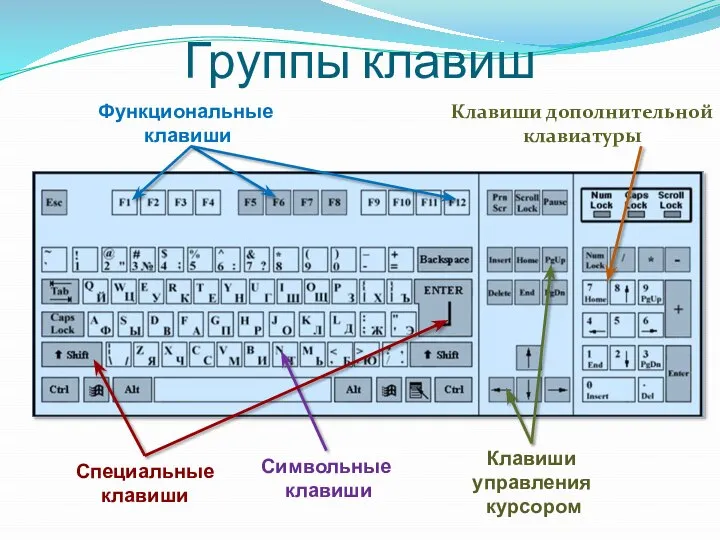 Группы клавиш Функциональные клавиши Клавиши дополнительной клавиатуры Символьные клавиши Клавиши управления курсором Специальные клавиши