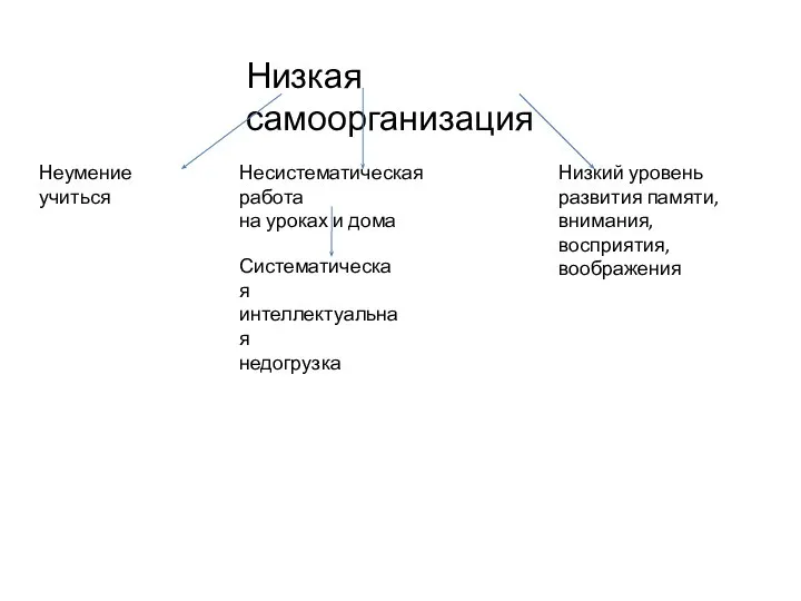 Низкая самоорганизация Неумение учиться Несистематическая работа на уроках и дома Систематическая интеллектуальная