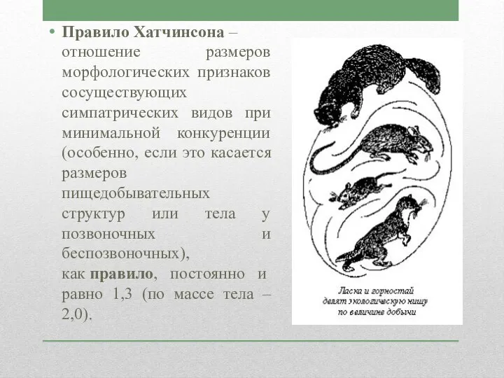 Правило Хатчинсона – отношение размеров морфологических признаков сосуществующих симпатрических видов при минимальной