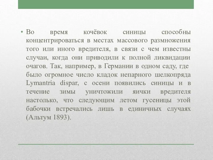 Во время кочёвок синицы способны концентрироваться в местах массового размножения того или