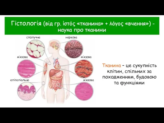 Гістологія (від гр. ἱστός «тканина» + λόγος «вчення») - наука про тканини