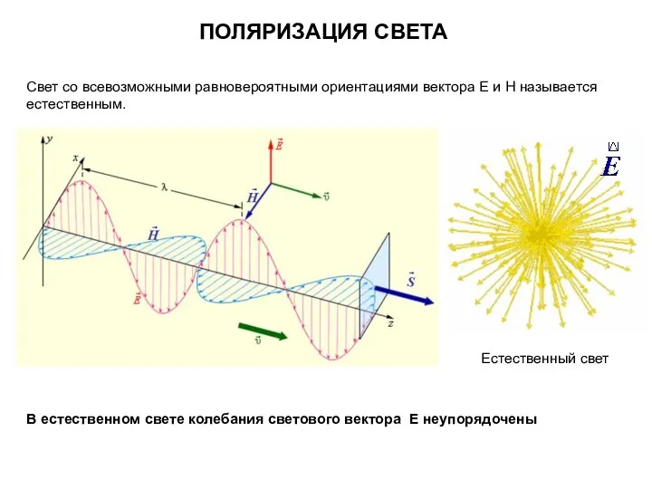 ПОЛЯРИЗАЦИЯ СВЕТА Свет со всевозможными равновероятными ориентациями вектора Е и Н называется