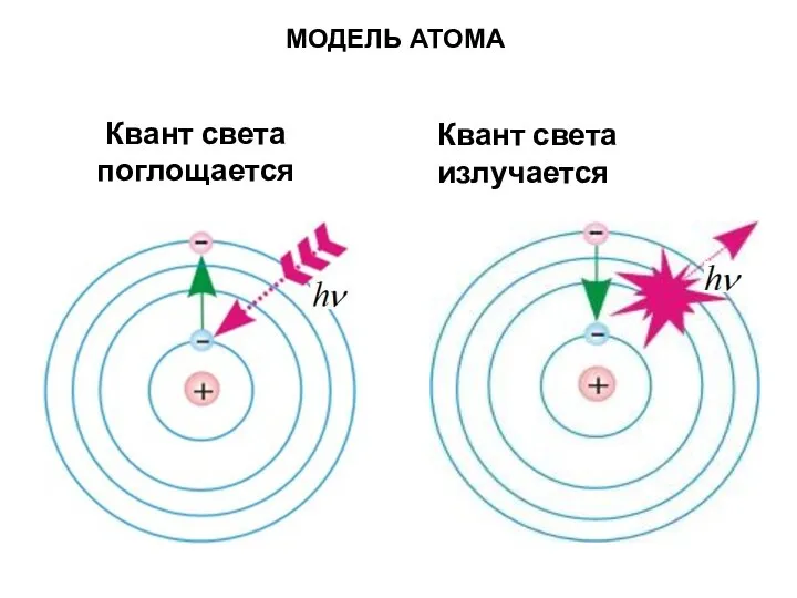 Квант света поглощается Квант света излучается МОДЕЛЬ АТОМА