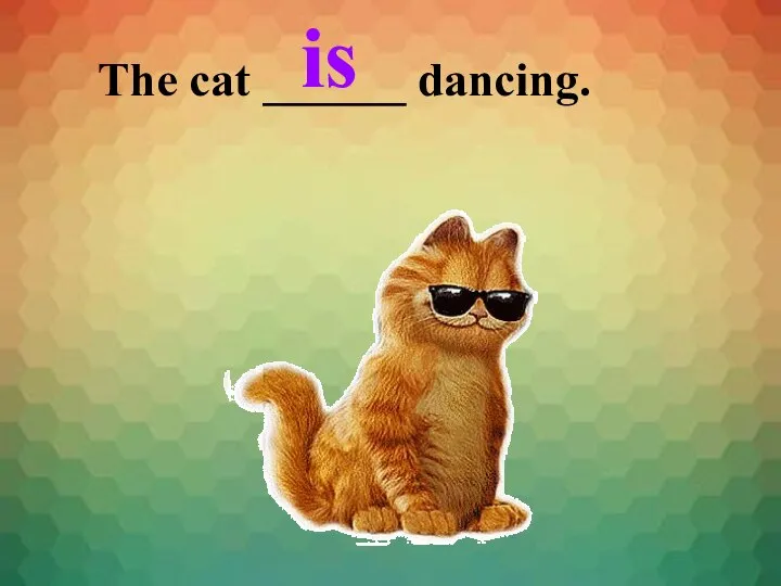 The cat ______ dancing. is