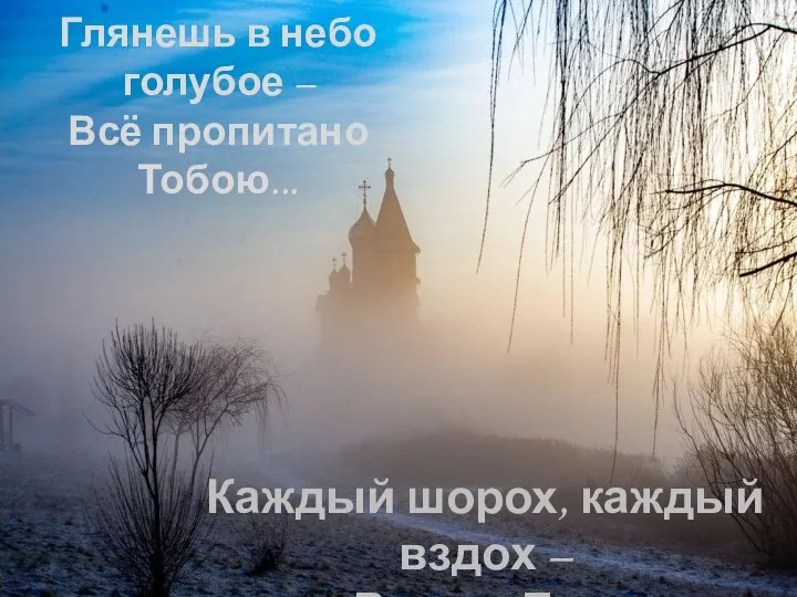 Каждый шорох, каждый вздох – Всюду Бог. Глянешь в небо голубое – Всё пропитано Тобою...