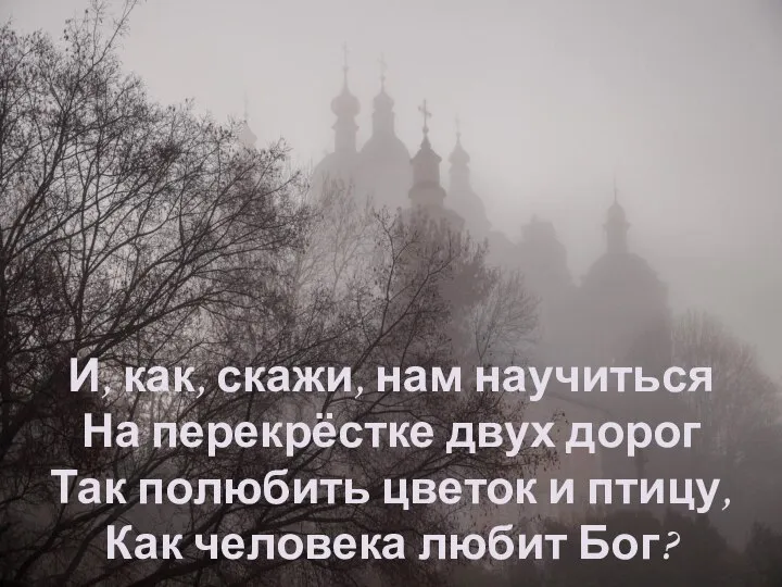 И, как, скажи, нам научиться На перекрёстке двух дорог Так полюбить цветок