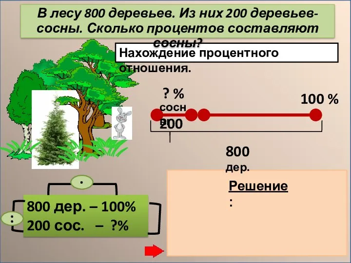 Нахождение процентного отношения. 800 дер. – 100% 200 сос. – ?% 200