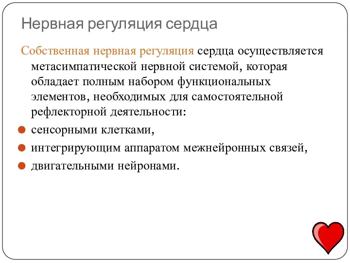 Нервная регуляция сердца Собственная нервная регуляция сердца осуществляется метасимпатической нервной системой, которая