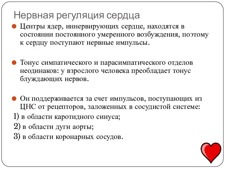 Нервная регуляция сердца Центры ядер, иннервирующих сердце, находятся в состоянии постоянного умеренного