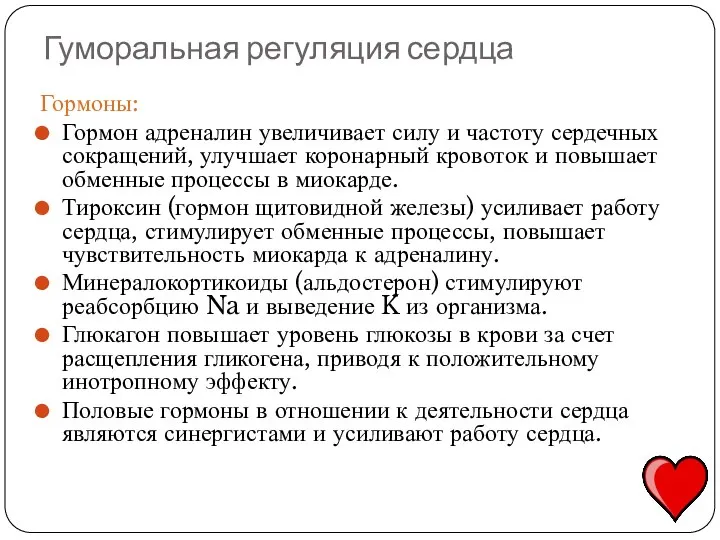 Гуморальная регуляция сердца Гормоны: Гормон адреналин увеличивает силу и частоту сердечных сокращений,