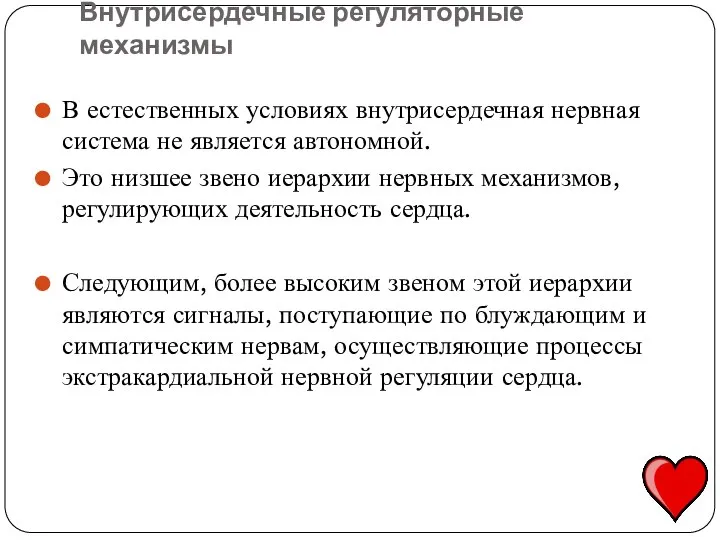 В естественных условиях внутрисердечная нервная система не является автономной. Это низшее звено