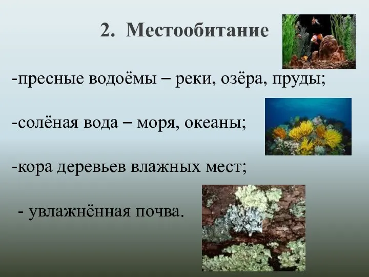 2. Местообитание пресные водоёмы – реки, озёра, пруды; солёная вода – моря,