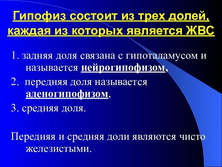 Гипофиз состоит из трех долей, каждая из которых является ЖВС 1. задняя