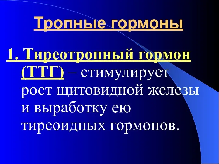 Тропные гормоны 1. Тиреотропный гормон (ТТГ) – стимулирует рост щитовидной железы и выработку ею тиреоидных гормонов.