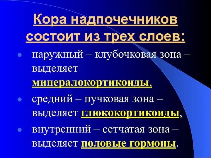 Кора надпочечников состоит из трех слоев: наружный – клубочковая зона – выделяет