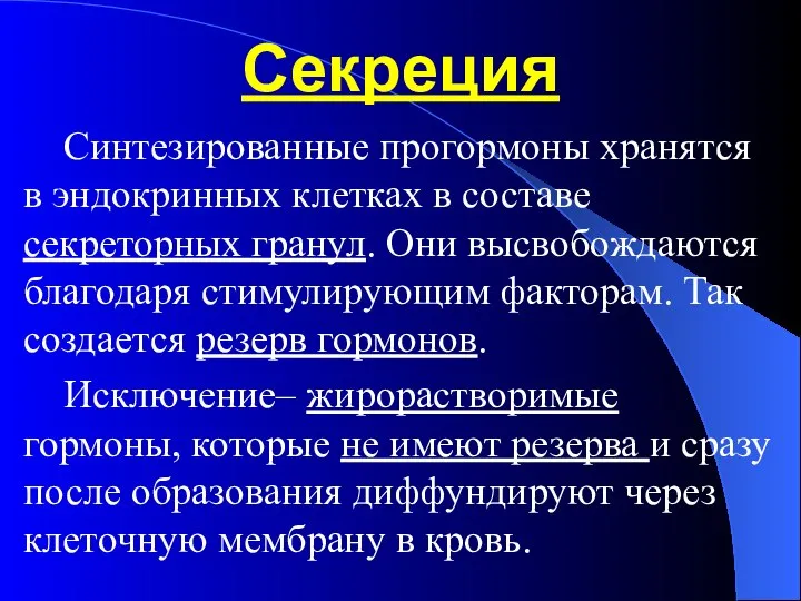 Секреция Синтезированные прогормоны хранятся в эндокринных клетках в составе секреторных гранул. Они