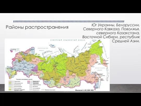 Юг Украины, Белоруссии, Северного Кавказа, Поволжья, северного Казахстана, Восточной Сибири, республик Средней Азии. Районы распространения