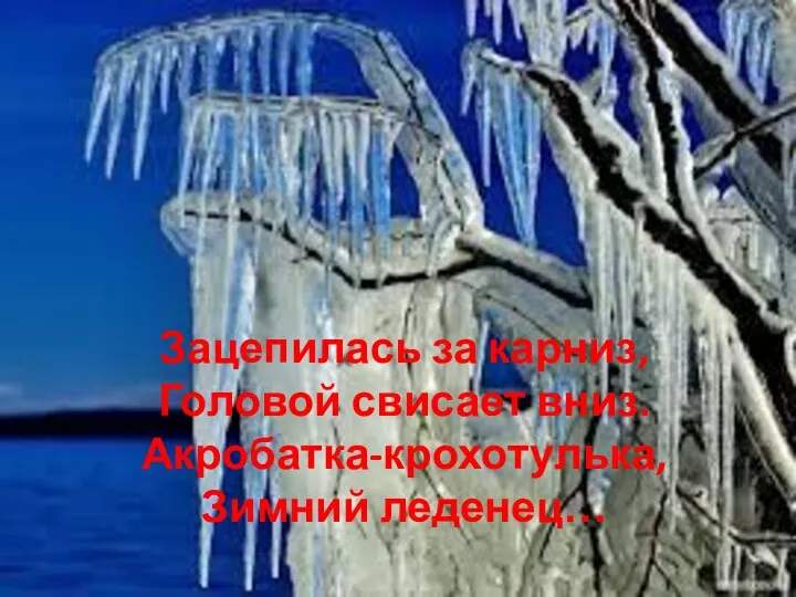 Зацепилась за карниз, Головой свисает вниз. Акробатка-крохотулька, Зимний леденец…