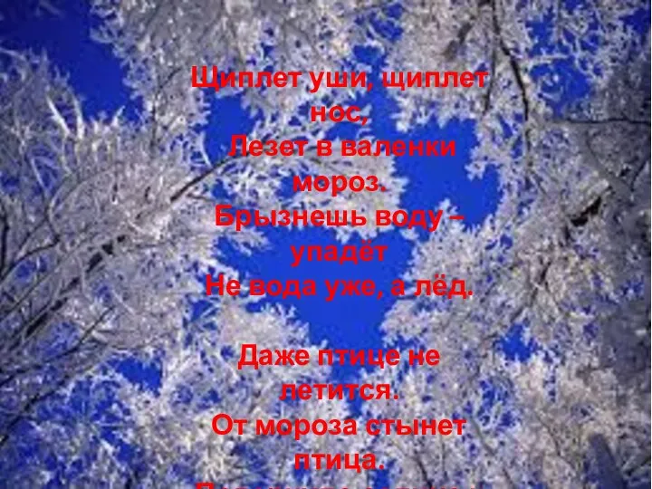 Щиплет уши, щиплет нос, Лезет в валенки мороз. Брызнешь воду – упадёт