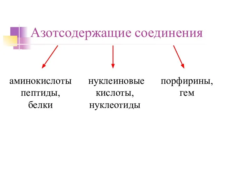 Азотсодержащие соединения аминокислоты пептиды, белки нуклеиновые кислоты, нуклеотиды порфирины, гем