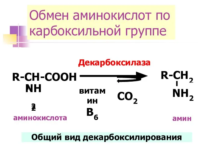 R-CH-COOH Обмен аминокислот по карбоксильной группе R-CH-COOH Декарбоксилаза R-CH-COOH R-CH2 NH2 CO2