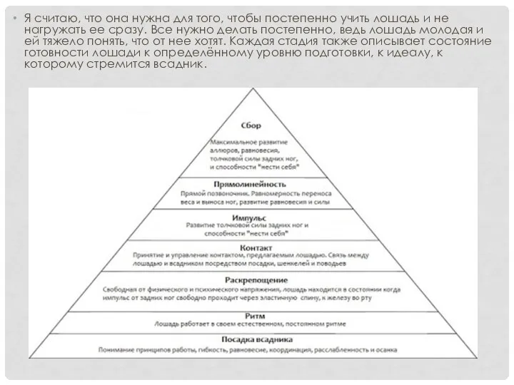 Я считаю, что она нужна для того, чтобы постепенно учить лошадь и