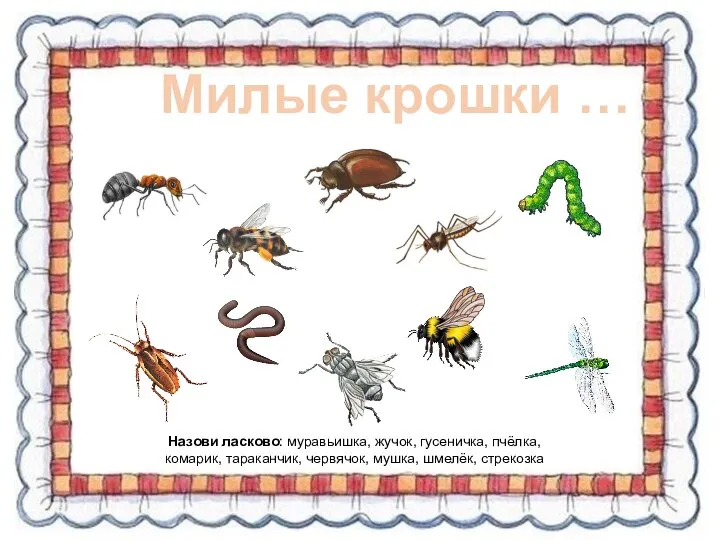 Милые крошки … Назови ласково: муравьишка, жучок, гусеничка, пчёлка, комарик, тараканчик, червячок, мушка, шмелёк, стрекозка