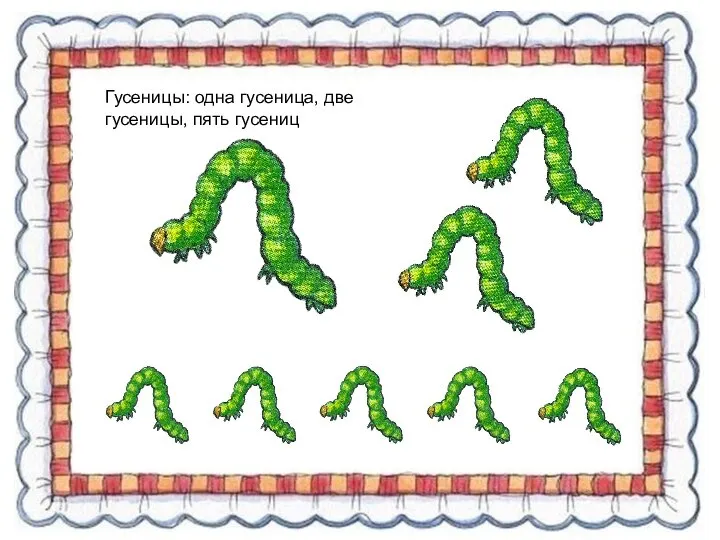 Гусеницы: одна гусеница, две гусеницы, пять гусениц