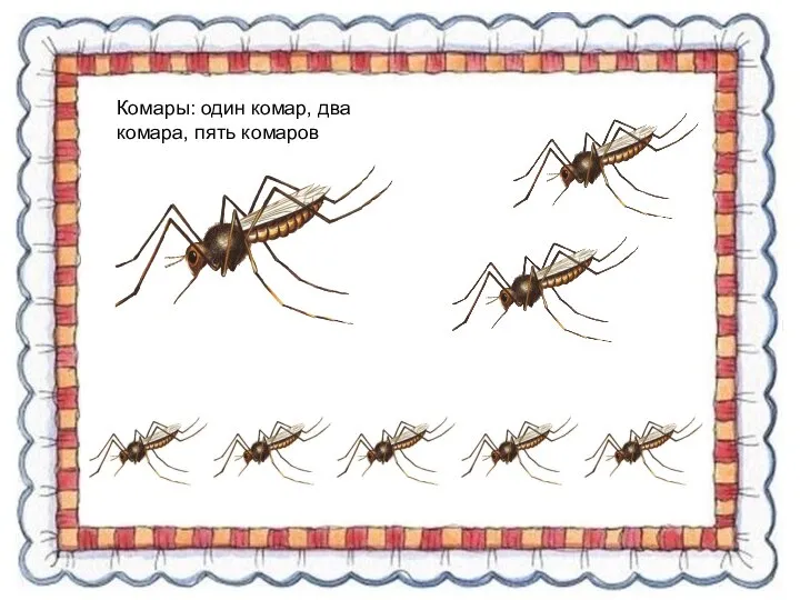 Комары: один комар, два комара, пять комаров