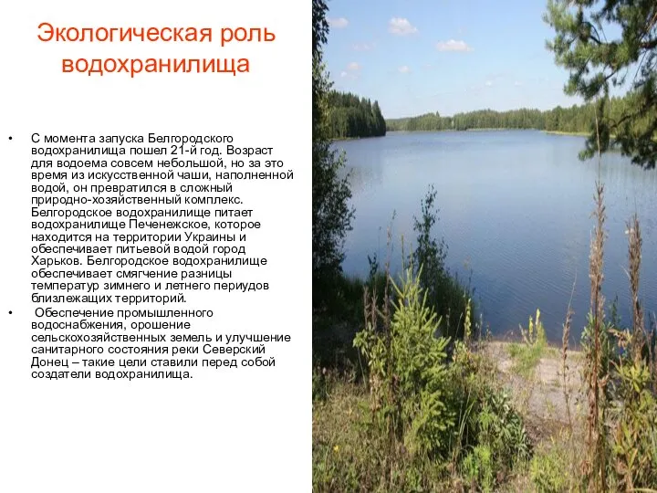 Экологическая роль водохранилища С момента запуска Белгородского водохранилища пошел 21-й год. Возраст