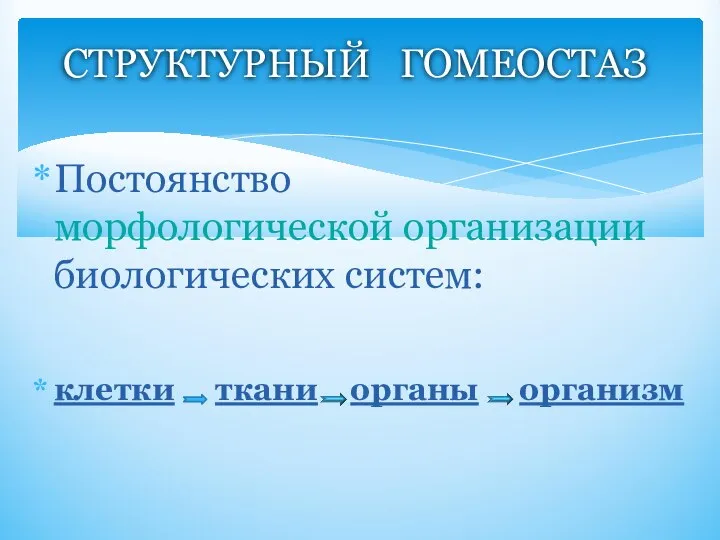 Постоянство морфологической организации биологических систем: клетки ткани органы организм СТРУКТУРНЫЙ ГОМЕОСТАЗ