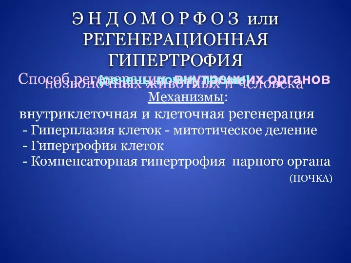 Э Н Д О М О Р Ф О З или РЕГЕНЕРАЦИОННАЯ