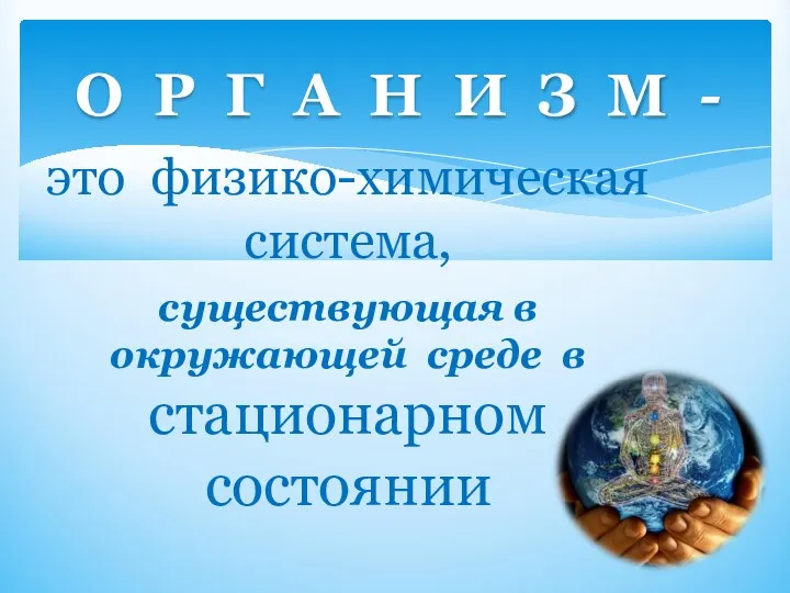 это физико-химическая система, существующая в окружающей среде в стационарном состоянии О Р