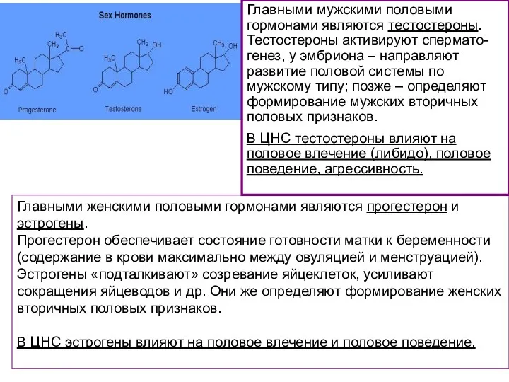 Главными мужскими половыми гормонами являются тестостероны. Тестостероны активируют спермато-генез, у эмбриона –