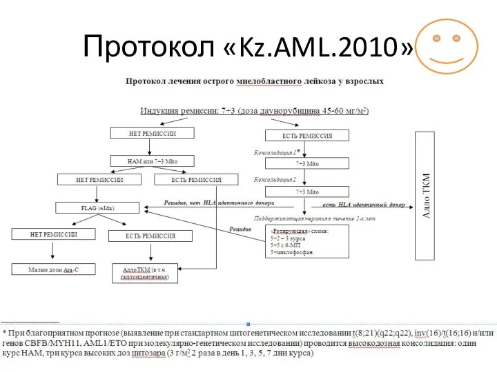 Протокол «Kz.AML.2010»