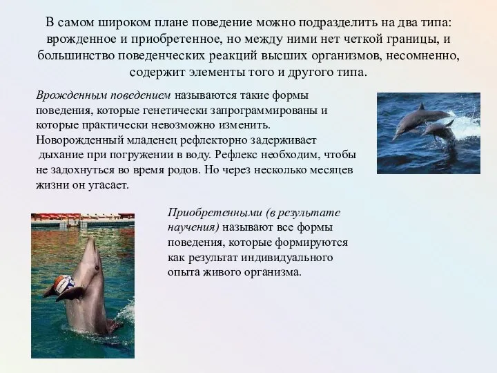 В самом широком плане поведение можно подразделить на два типа: врожденное и