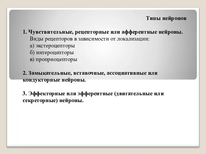 Типы нейронов 1. Чувствительные, рецепторные или афферентные нейроны. Виды рецепторов в зависимости