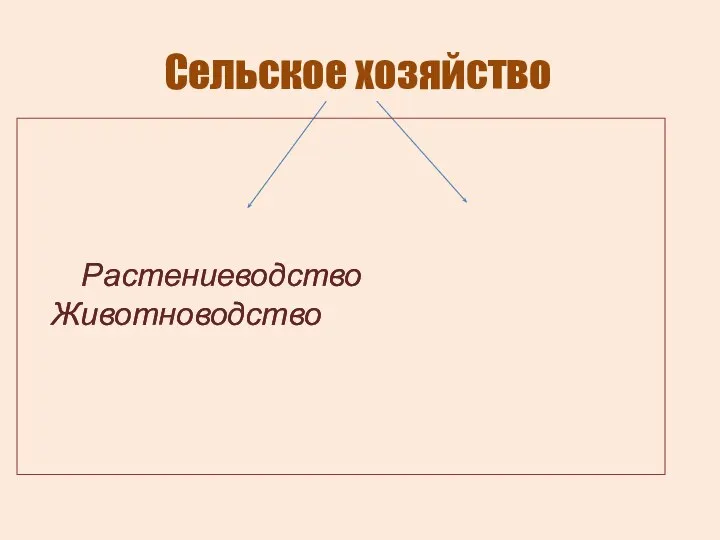 Сельское хозяйство Растениеводство Животноводство Растениеводство Животноводство