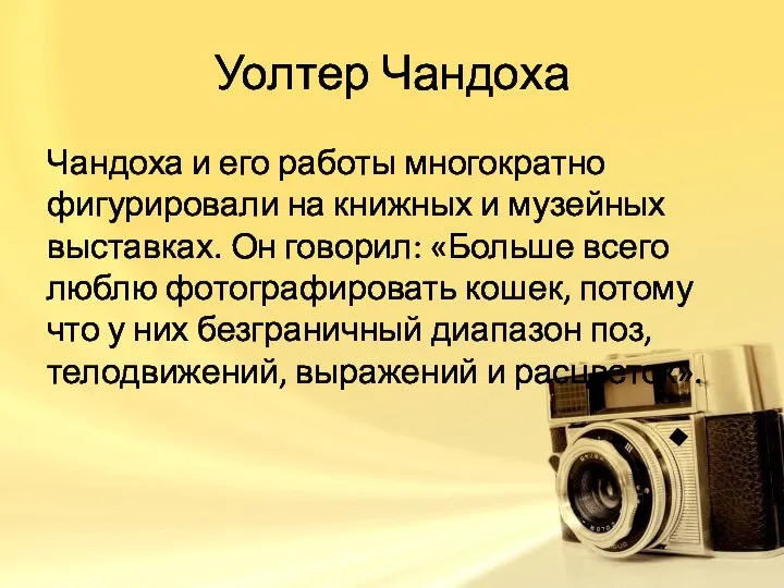 Уолтер Чандоха Чандоха и его работы многократно фигурировали на книжных и музейных