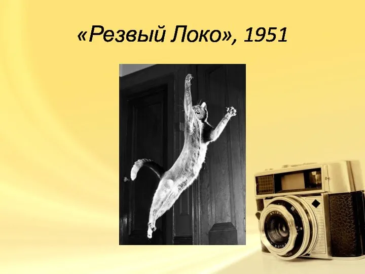 «Резвый Локо», 1951