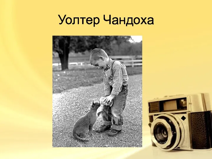 Уолтер Чандоха