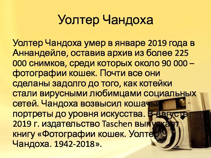 Уолтер Чандоха Уолтер Чандоха умер в январе 2019 года в Аннандейле, оставив